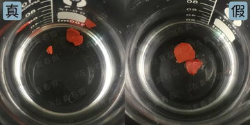 這個(gè)秋冬最值得購(gòu)買的mac口紅色號(hào)